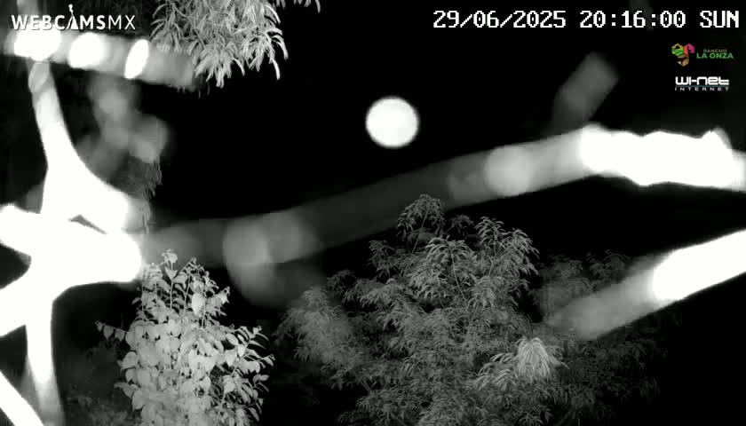 Rancho La Onza Nature Live Cam - San Luiz de la Paz, Guanajuato, Mexico