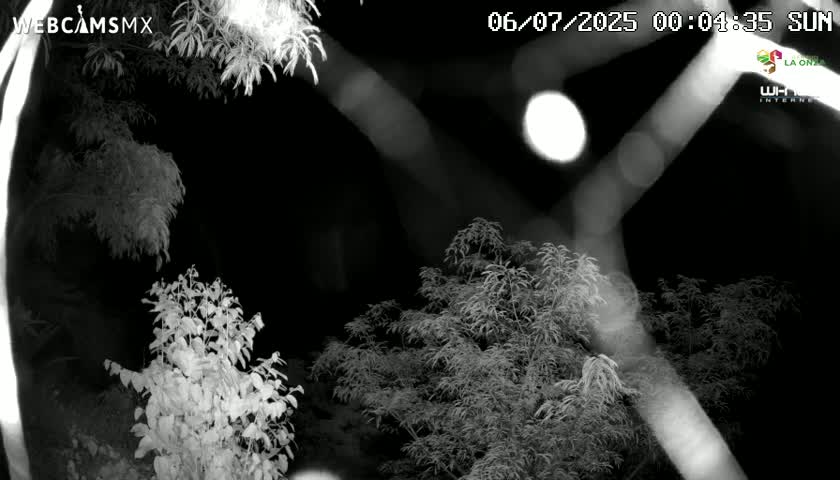 Rancho La Onza Nature Live Cam - San Luiz de la Paz, Guanajuato, Mexico