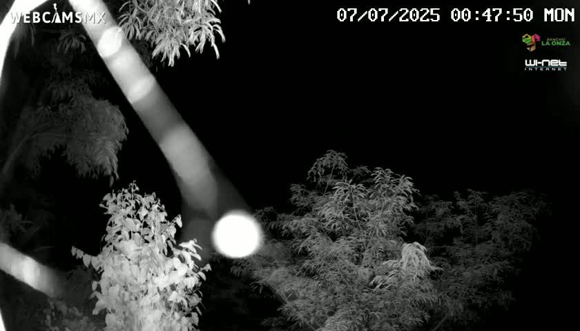 Rancho La Onza Nature Live Cam - San Luiz de la Paz, Guanajuato, Mexico