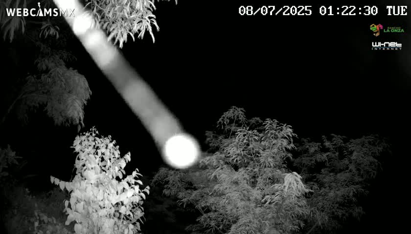 Rancho La Onza Nature Live Cam - San Luiz de la Paz, Guanajuato, Mexico