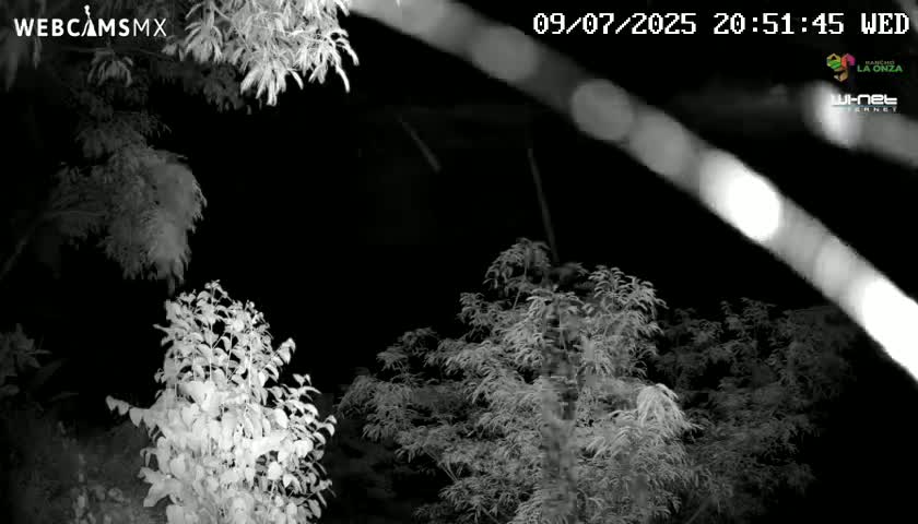 Rancho La Onza Nature Live Cam - San Luiz de la Paz, Guanajuato, Mexico
