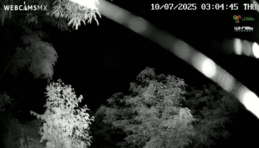 Rancho La Onza Nature Live Cam - San Luiz de la Paz, Guanajuato, Mexico