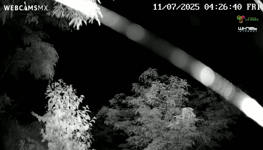 Rancho La Onza Nature Live Cam - San Luiz de la Paz, Guanajuato, Mexico