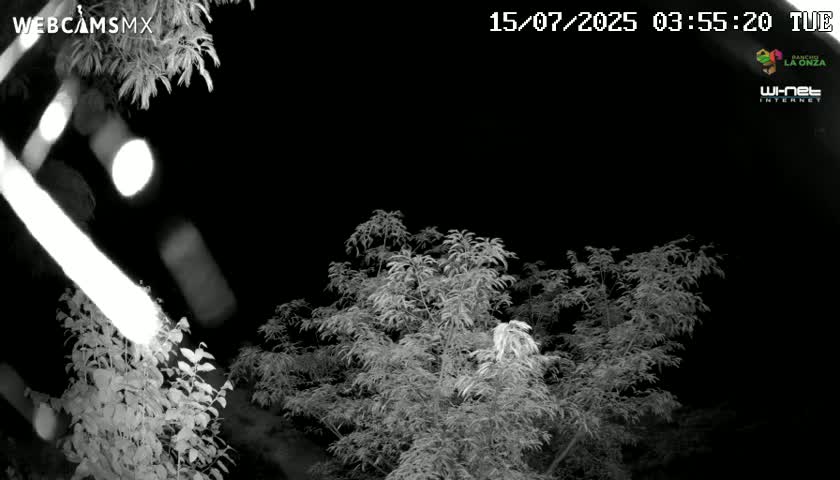 Rancho La Onza Nature Live Cam - San Luiz de la Paz, Guanajuato, Mexico