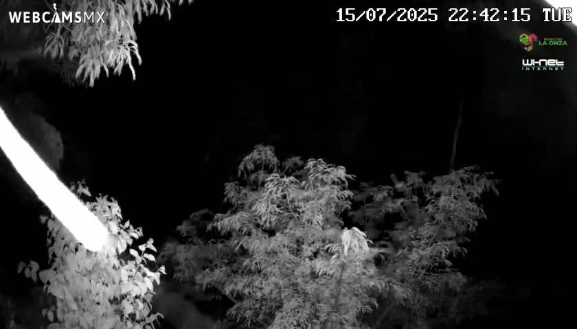 Rancho La Onza Nature Live Cam - San Luiz de la Paz, Guanajuato, Mexico