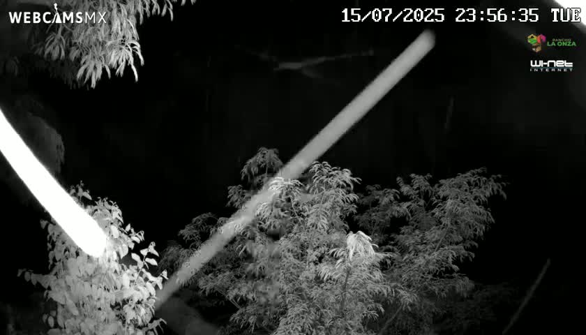 Rancho La Onza Nature Live Cam - San Luiz de la Paz, Guanajuato, Mexico