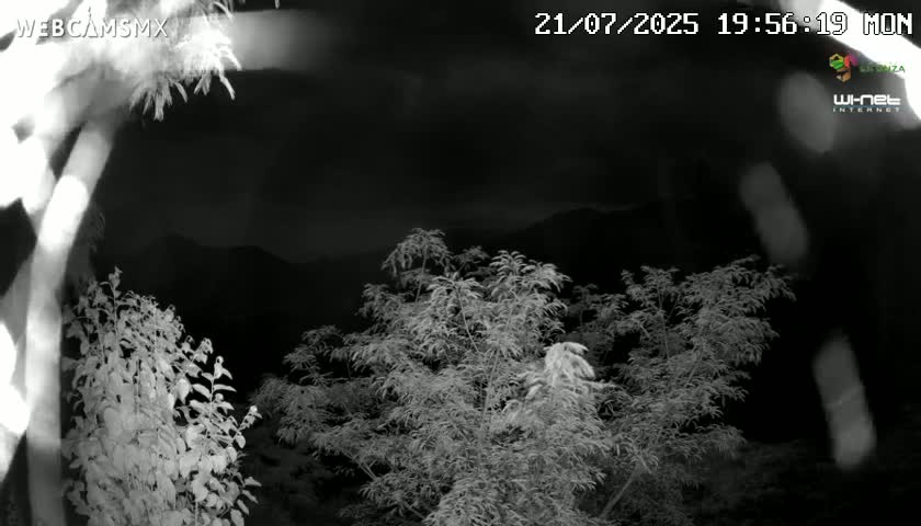 Rancho La Onza Nature Live Cam - San Luiz de la Paz, Guanajuato, Mexico
