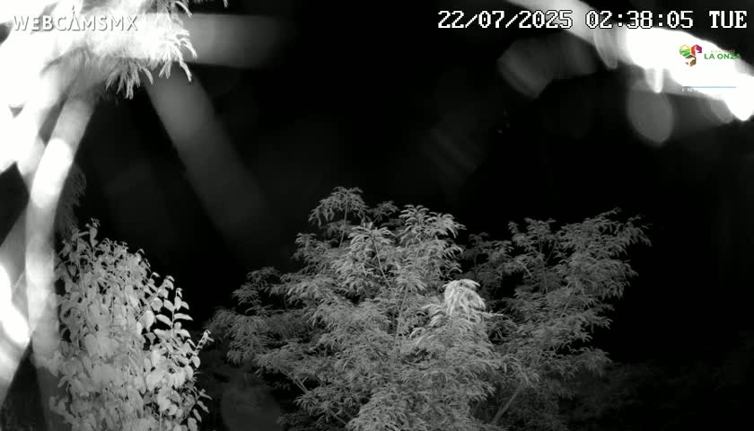 Rancho La Onza Nature Live Cam - San Luiz de la Paz, Guanajuato, Mexico