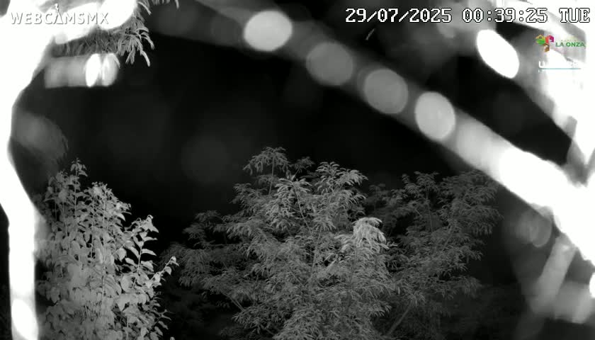 Rancho La Onza Nature Live Cam - San Luiz de la Paz, Guanajuato, Mexico