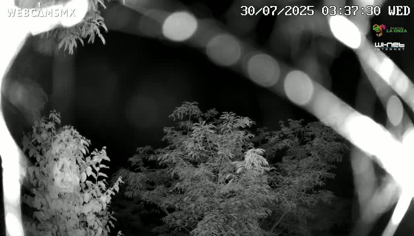 Rancho La Onza Nature Live Cam - San Luiz de la Paz, Guanajuato, Mexico