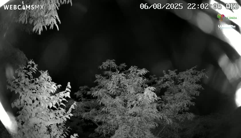 Rancho La Onza Nature Live Cam - San Luiz de la Paz, Guanajuato, Mexico
