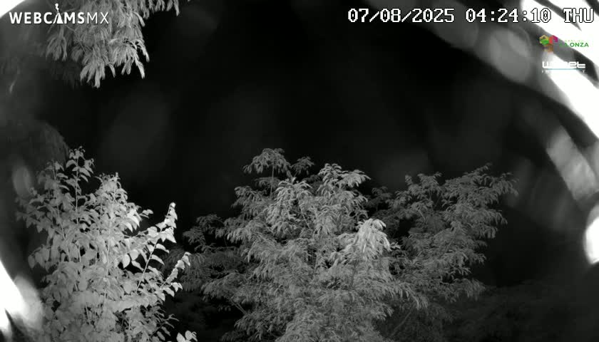Rancho La Onza Nature Live Cam - San Luiz de la Paz, Guanajuato, Mexico