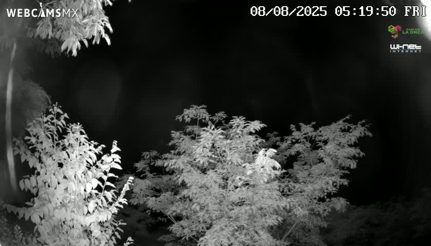Rancho La Onza Nature Live Cam - San Luiz de la Paz, Guanajuato, Mexico