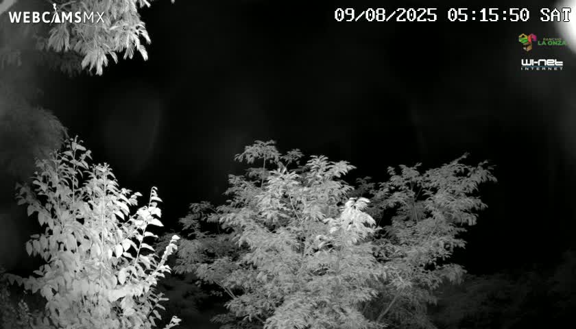 Rancho La Onza Nature Live Cam - San Luiz de la Paz, Guanajuato, Mexico