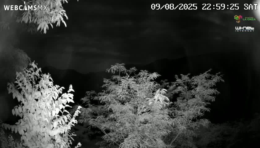 Rancho La Onza Nature Live Cam - San Luiz de la Paz, Guanajuato, Mexico