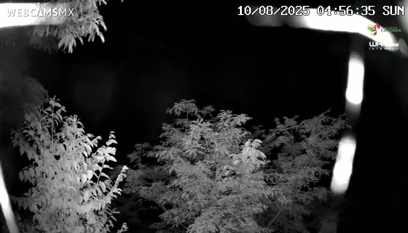 Rancho La Onza Nature Live Cam - San Luiz de la Paz, Guanajuato, Mexico