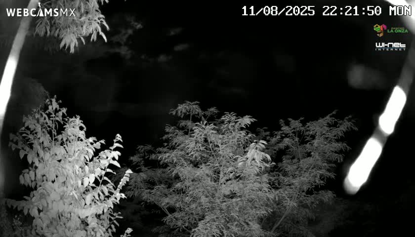 Rancho La Onza Nature Live Cam - San Luiz de la Paz, Guanajuato, Mexico