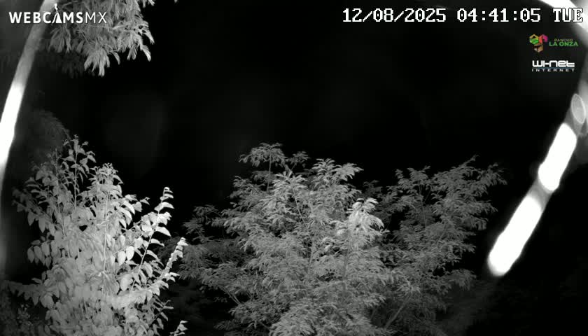 Rancho La Onza Nature Live Cam - San Luiz de la Paz, Guanajuato, Mexico