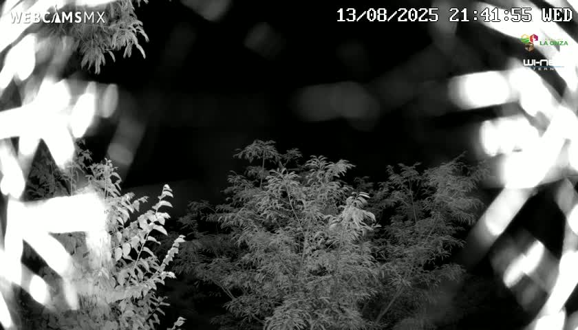 Rancho La Onza Nature Live Cam - San Luiz de la Paz, Guanajuato, Mexico