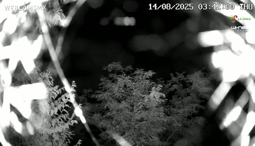Rancho La Onza Nature Live Cam - San Luiz de la Paz, Guanajuato, Mexico