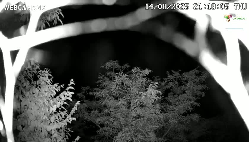 Rancho La Onza Nature Live Cam - San Luiz de la Paz, Guanajuato, Mexico