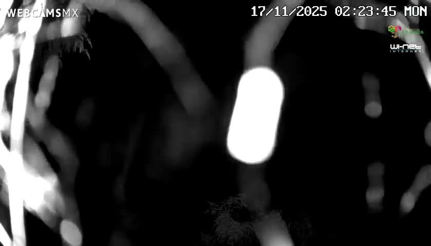 Rancho La Onza Nature Live Cam - San Luiz de la Paz, Guanajuato, Mexico