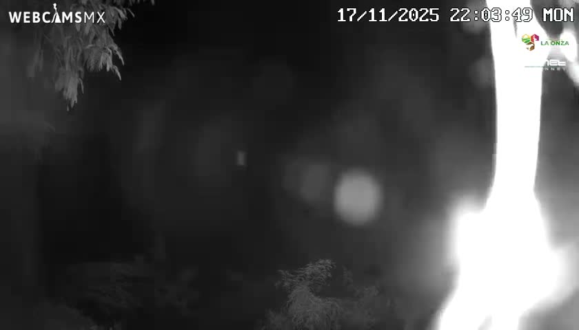 Rancho La Onza Nature Live Cam - San Luiz de la Paz, Guanajuato, Mexico