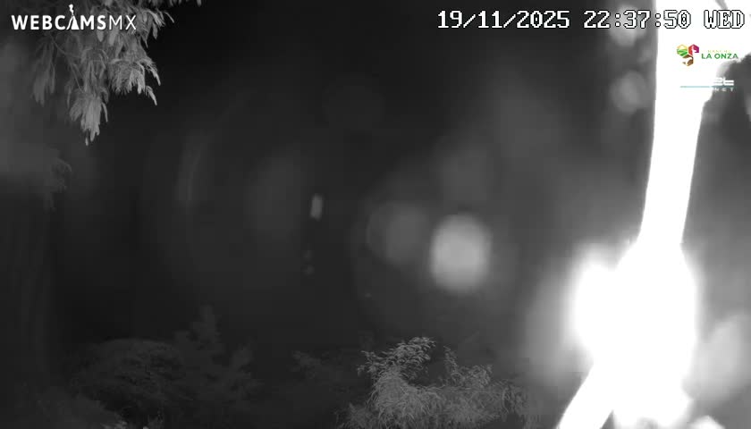 Rancho La Onza Nature Live Cam - San Luiz de la Paz, Guanajuato, Mexico