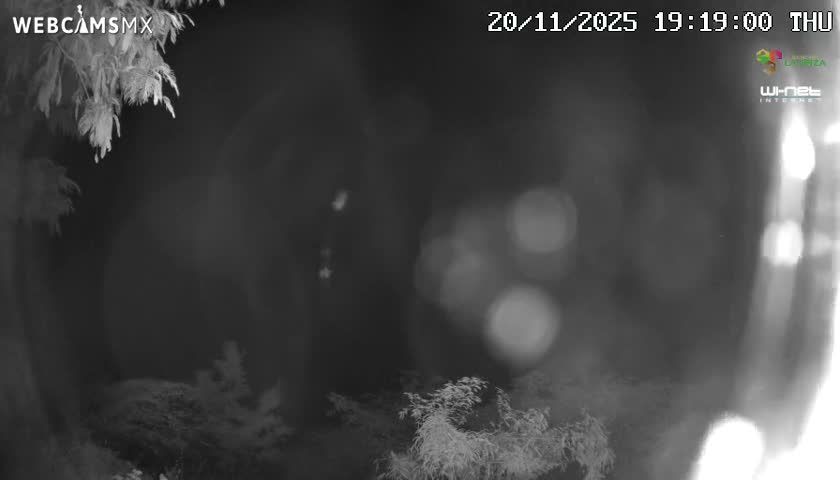 Rancho La Onza Nature Live Cam - San Luiz de la Paz, Guanajuato, Mexico