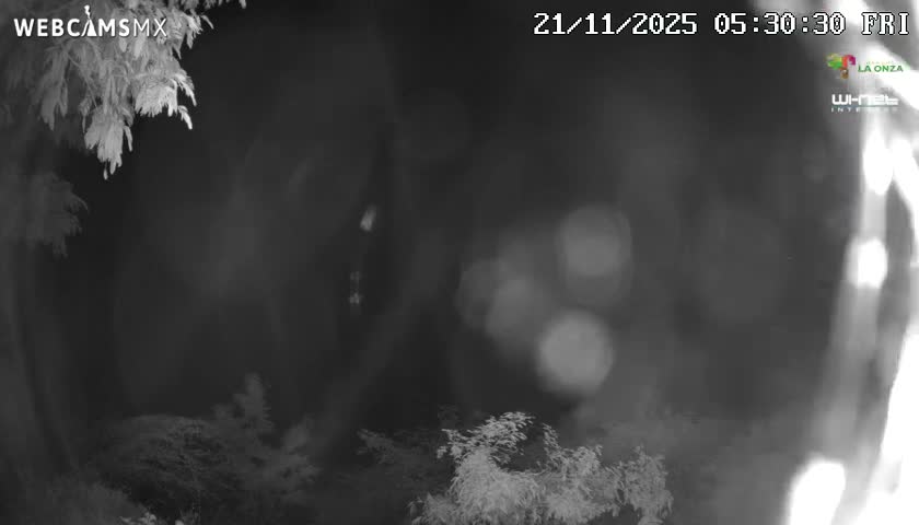 Rancho La Onza Nature Live Cam - San Luiz de la Paz, Guanajuato, Mexico