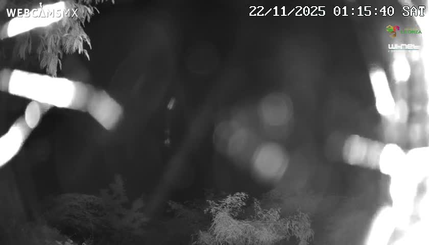 Rancho La Onza Nature Live Cam - San Luiz de la Paz, Guanajuato, Mexico