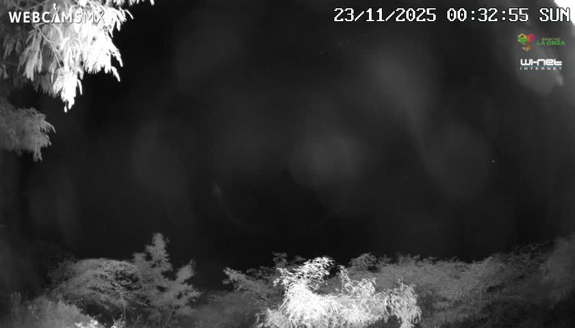 Rancho La Onza Nature Live Cam - San Luiz de la Paz, Guanajuato, Mexico