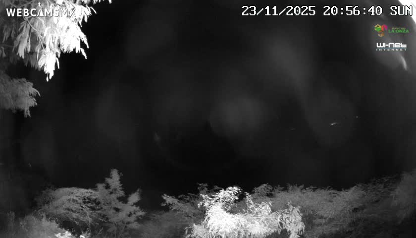 Rancho La Onza Nature Live Cam - San Luiz de la Paz, Guanajuato, Mexico