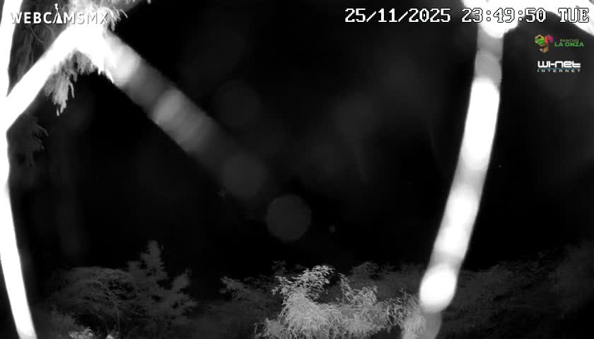 Rancho La Onza Nature Live Cam - San Luiz de la Paz, Guanajuato, Mexico