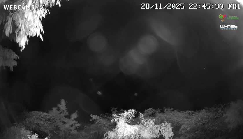 Rancho La Onza Nature Live Cam - San Luiz de la Paz, Guanajuato, Mexico