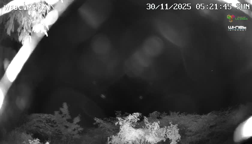 Rancho La Onza Nature Live Cam - San Luiz de la Paz, Guanajuato, Mexico