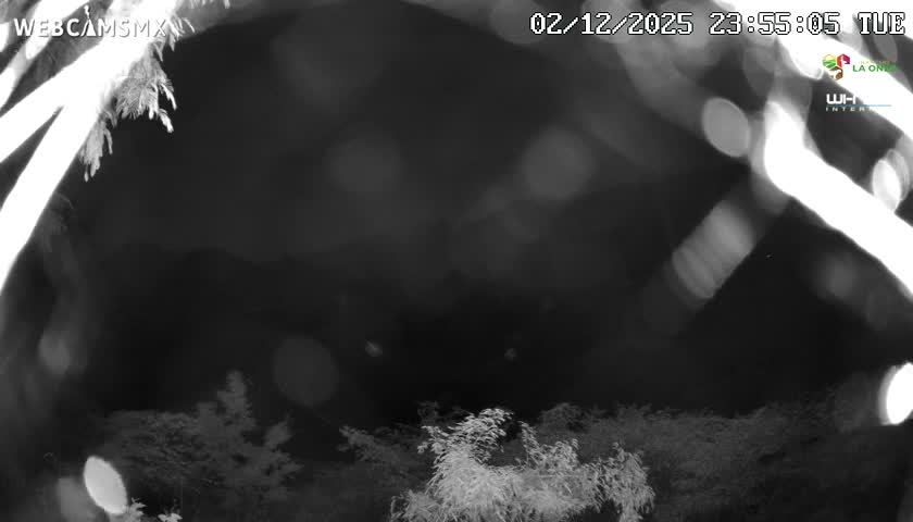 Rancho La Onza Nature Live Cam - San Luiz de la Paz, Guanajuato, Mexico