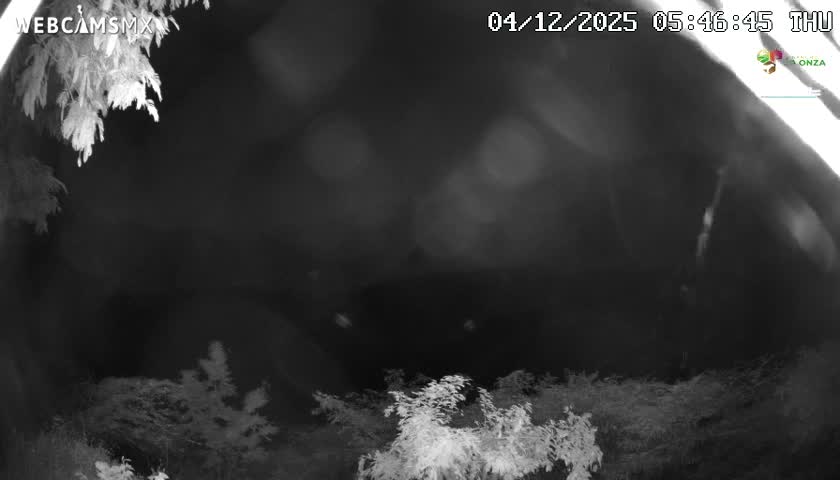 Rancho La Onza Nature Live Cam - San Luiz de la Paz, Guanajuato, Mexico