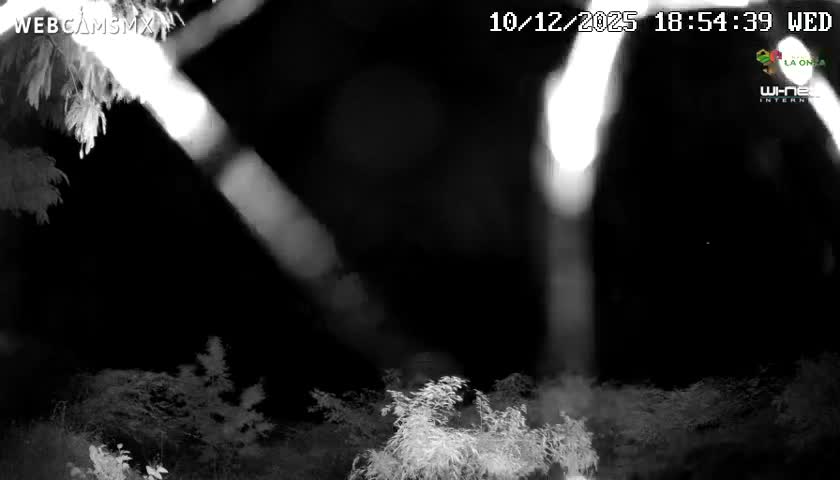 Rancho La Onza Nature Live Cam - San Luiz de la Paz, Guanajuato, Mexico