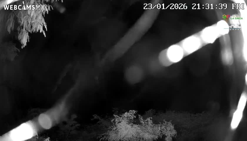 Rancho La Onza Nature Live Cam - San Luiz de la Paz, Guanajuato, Mexico