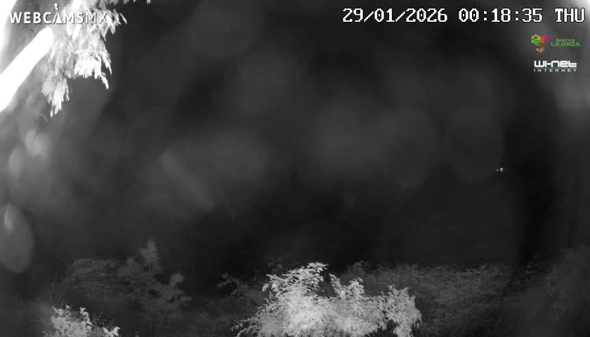 Rancho La Onza Nature Live Cam - San Luiz de la Paz, Guanajuato, Mexico