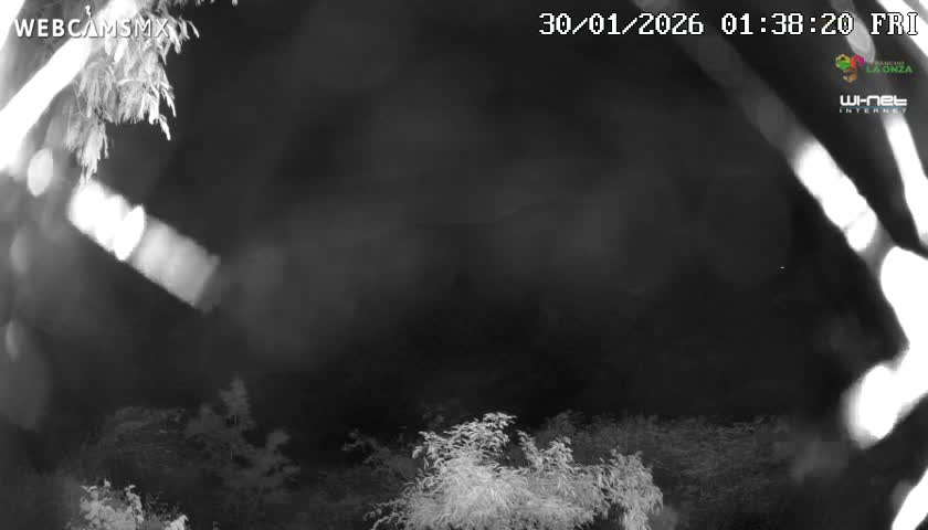 Rancho La Onza Nature Live Cam - San Luiz de la Paz, Guanajuato, Mexico