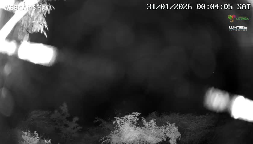 Rancho La Onza Nature Live Cam - San Luiz de la Paz, Guanajuato, Mexico