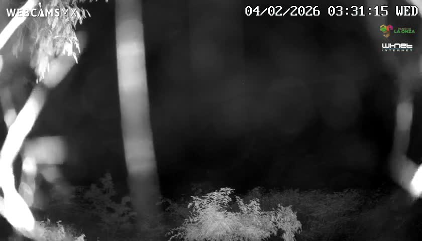 Rancho La Onza Nature Live Cam - San Luiz de la Paz, Guanajuato, Mexico