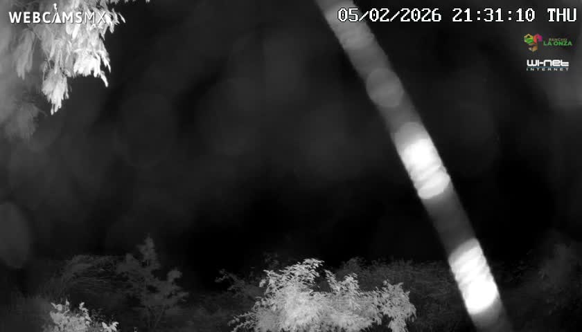 Rancho La Onza Nature Live Cam - San Luiz de la Paz, Guanajuato, Mexico