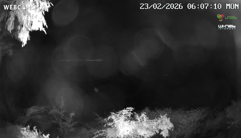 Rancho La Onza Nature Live Cam - San Luiz de la Paz, Guanajuato, Mexico
