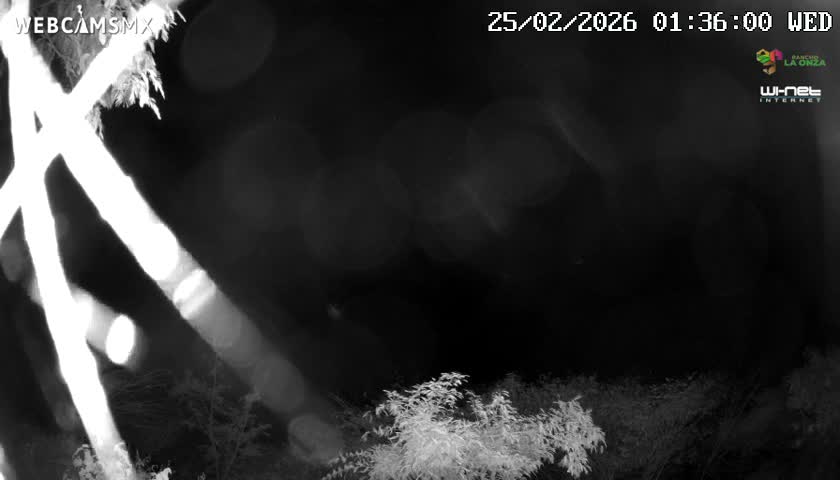 Rancho La Onza Nature Live Cam - San Luiz de la Paz, Guanajuato, Mexico