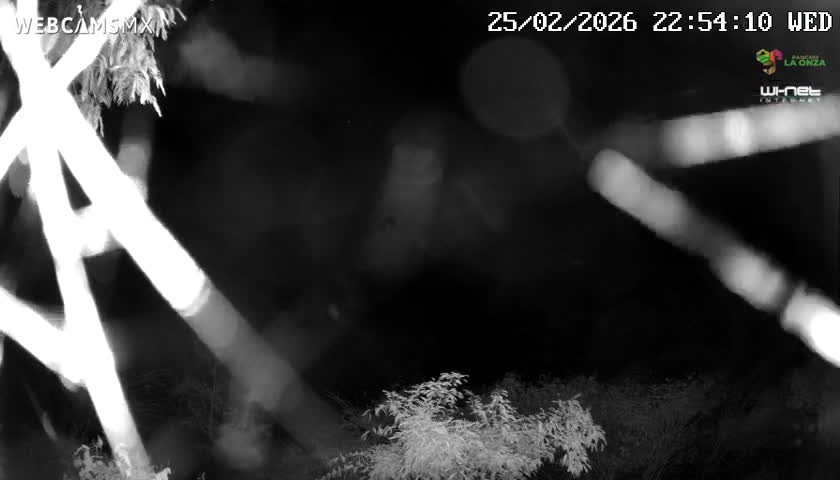 Rancho La Onza Nature Live Cam - San Luiz de la Paz, Guanajuato, Mexico