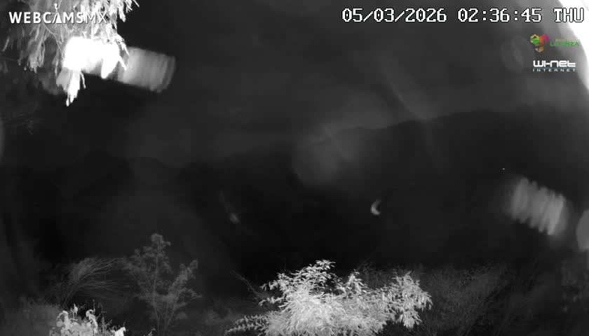 Rancho La Onza Nature Live Cam - San Luiz de la Paz, Guanajuato, Mexico