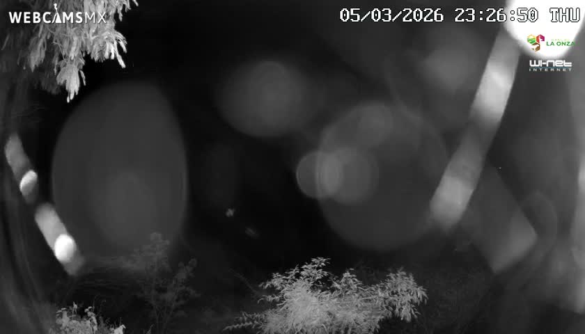 Rancho La Onza Nature Live Cam - San Luiz de la Paz, Guanajuato, Mexico
